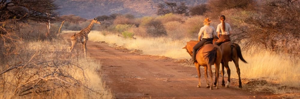 safari activities equestrian