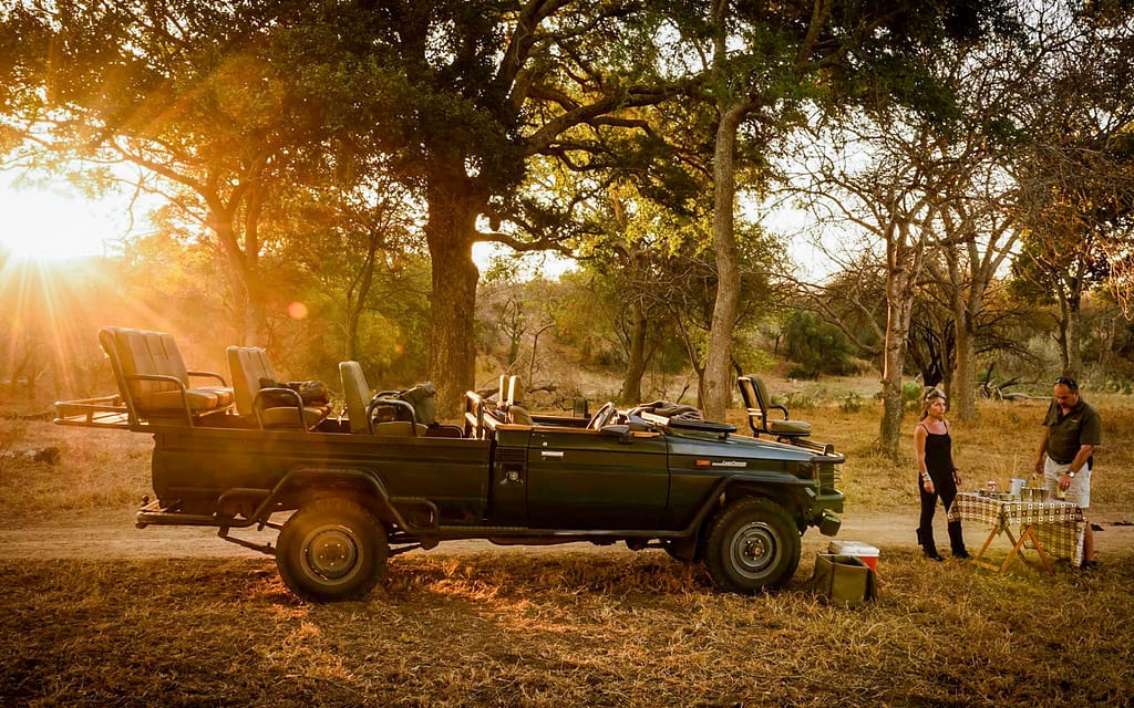 safari game drive sundowners