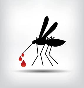 is there malaria in the kruger national park