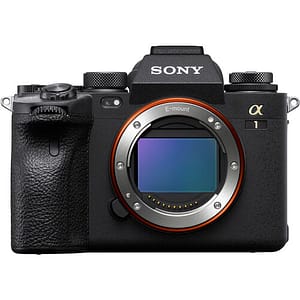 best mirrorless camera for wildlife | sony a1