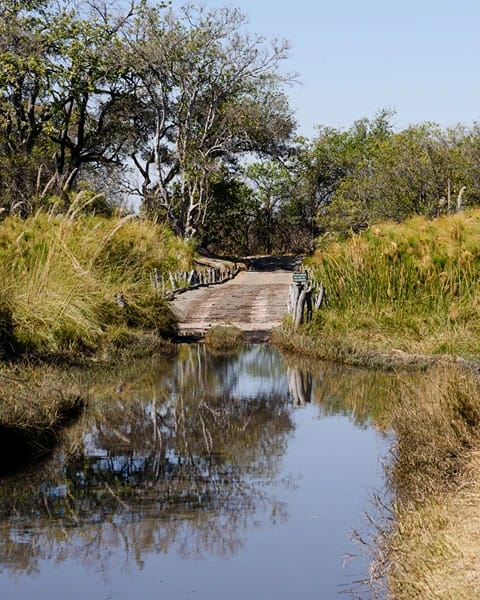 photographic destination botswana okavango delta