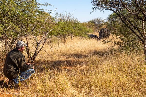 safari activities wildlife conservation