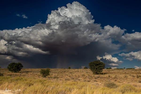 top 10 safari tips kgalagadi storm