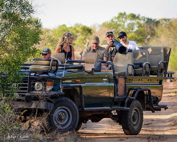 safari activities game drive