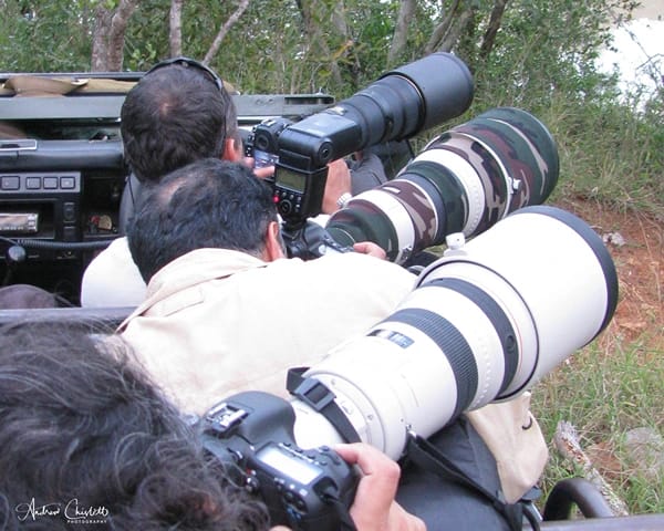 wildlife photography faqs photographers on game viewing vehicle