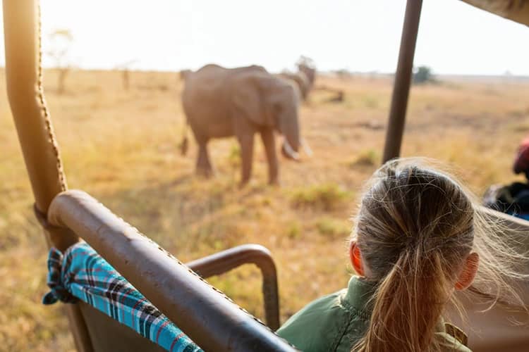 safari activities for kids