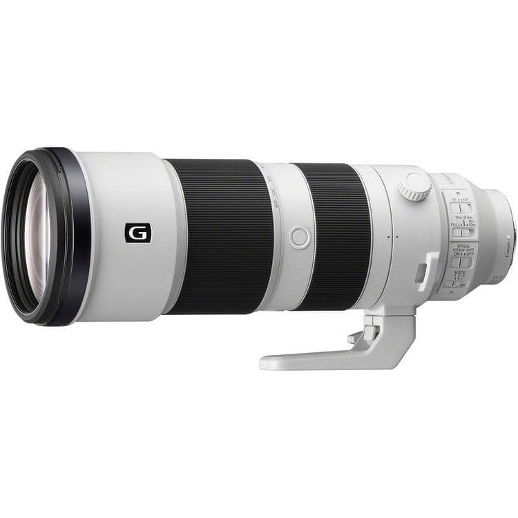 best lenses for wildlife phtography sony 200-600