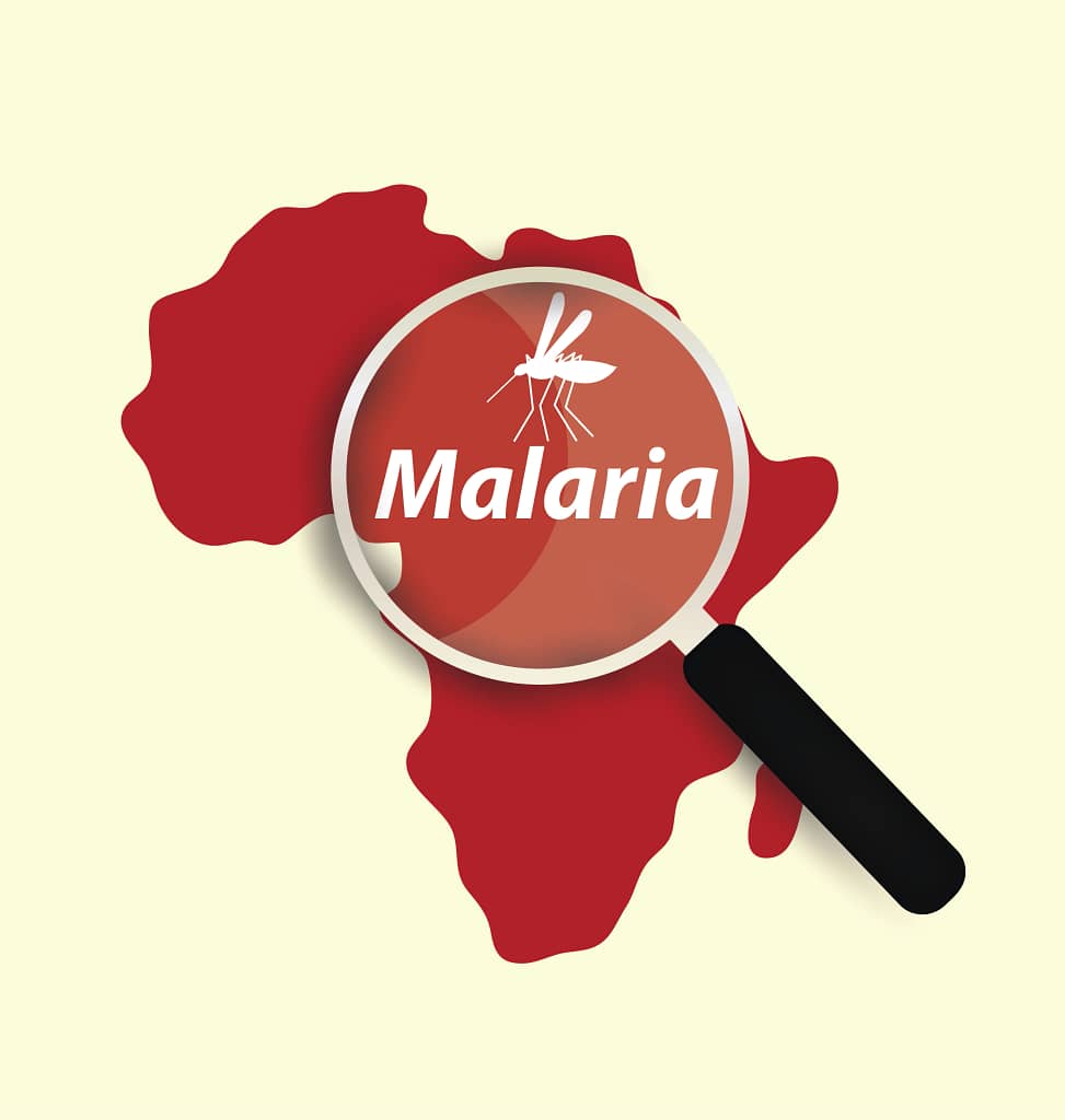 ultimate malaria free safaris south africa